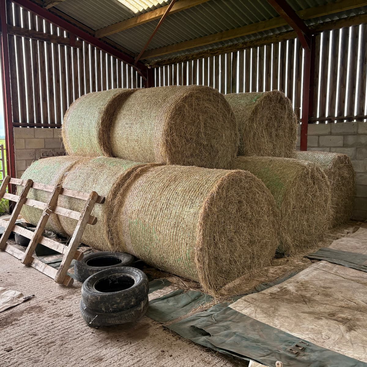 Round hay bales stacked in our barn ready for delivery in Wrexham